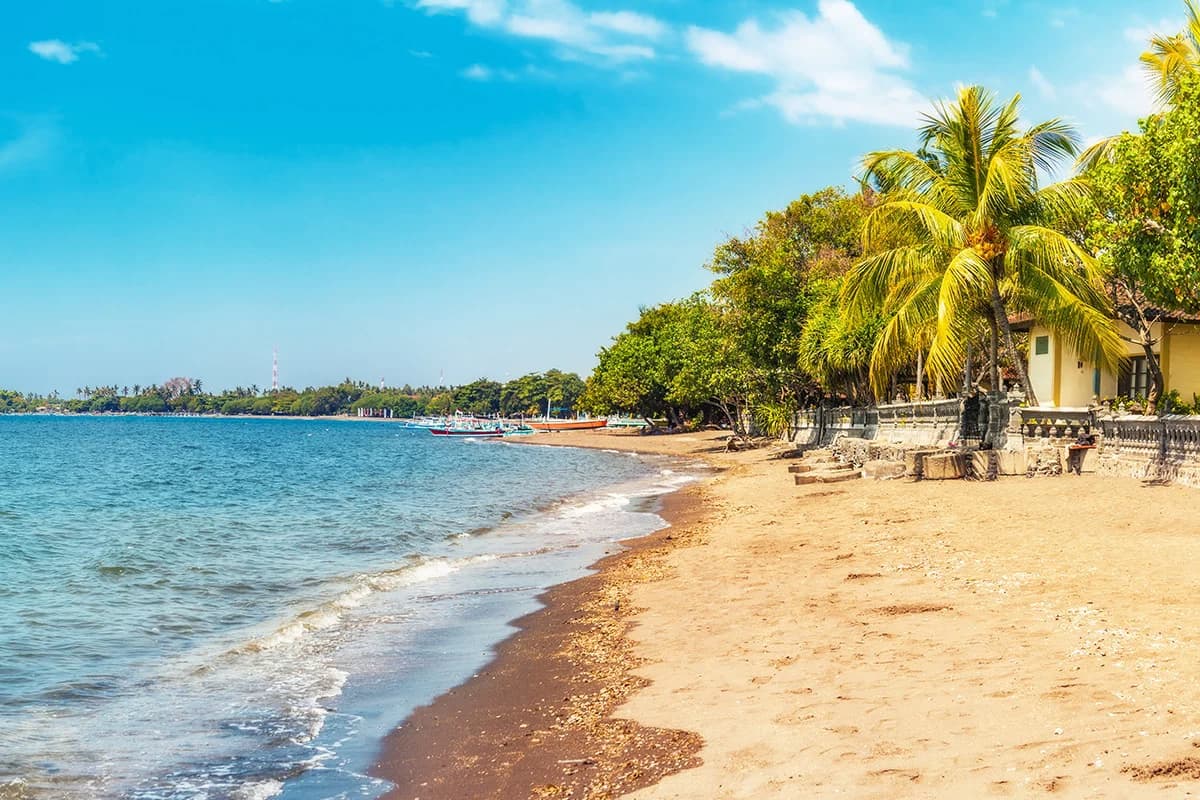 Sunrise Dolphin Quest